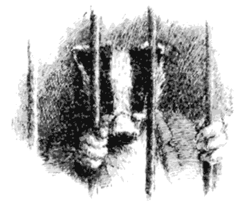 Сказки под ивами - i_065.png