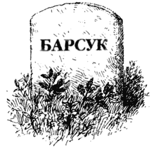 Сказки под ивами - i_082.png