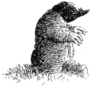 Сказки под ивами - i_085.png