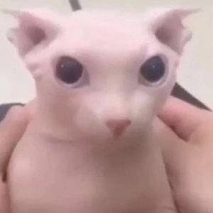 Я должен стать Главным Героем или… 2 (СИ) - img_2