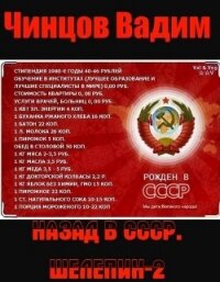 Назад в СССР. Шелепин 2 (СИ) - Чинцов Вадим Владимирович
