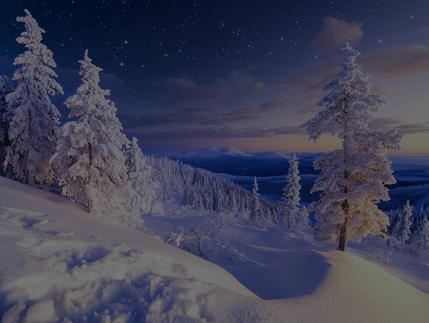 Диктатура Кошмаров (СИ) - img_97