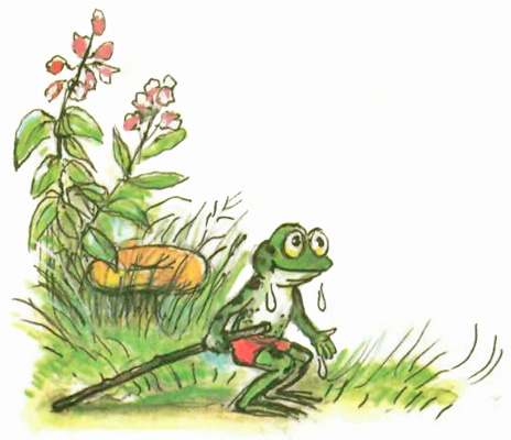 Упрямый лягушонок (рис. Сутеева) - i_012.jpg