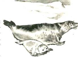 Как Алёшка жил на Севере - i_002.jpg