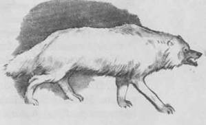 Как Алёшка жил на Севере - i_003.jpg