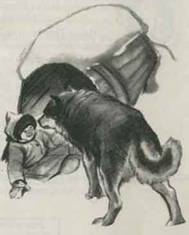 Как Алёшка жил на Севере - i_004.jpg