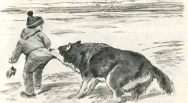 Как Алёшка жил на Севере - i_007.jpg