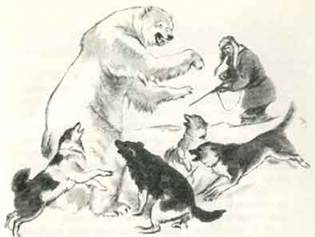 Как Алёшка жил на Севере - i_015.jpg