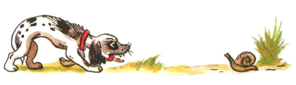 Котауси и Мауси (рис. Сутеева) - i_014.jpg