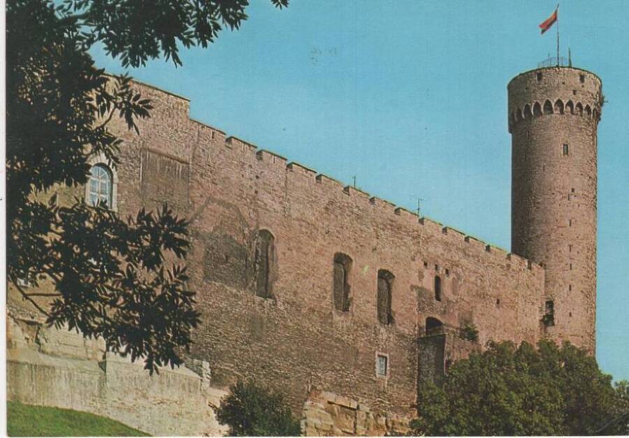 Ливония. Продолжение (СИ) - img_21