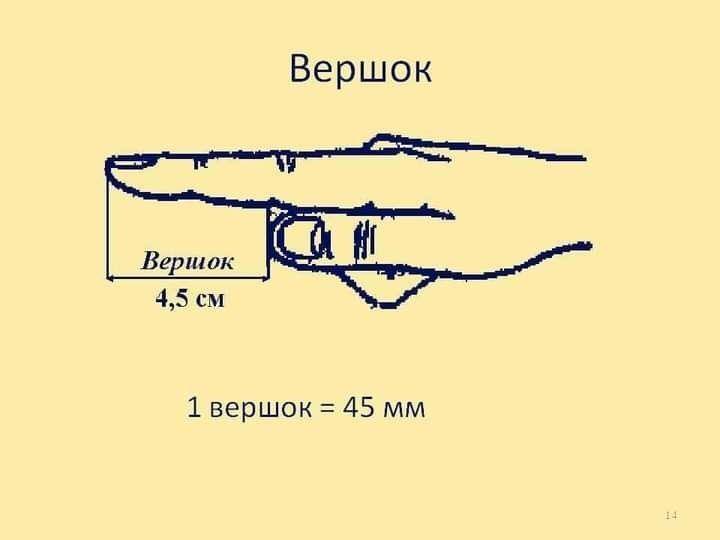 Ливония. Продолжение (СИ) - img_22