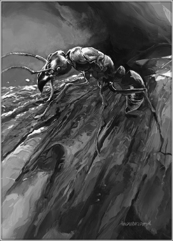 Планета муравьёв - img_1