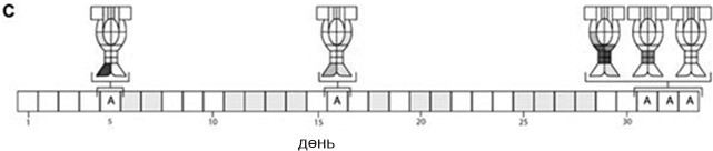 В постели с бактериями. История, наука и секреты микроскопических существ, о которых не принято говорить - img_1