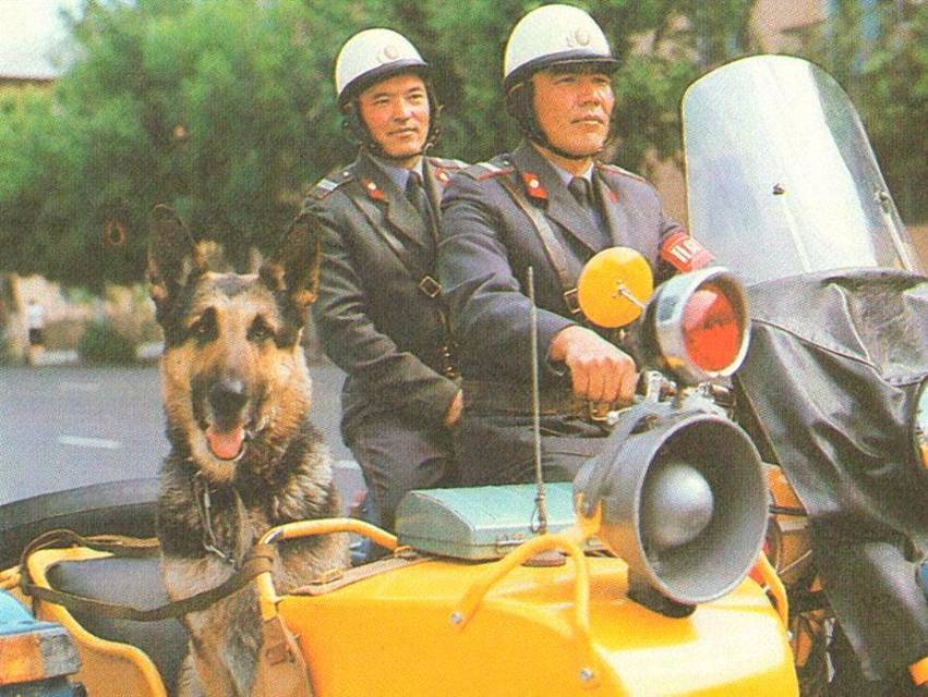 Генеральный попаданец 5 (СИ) - img_20