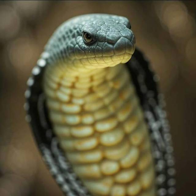 Москва-1980 (СИ) - img_1