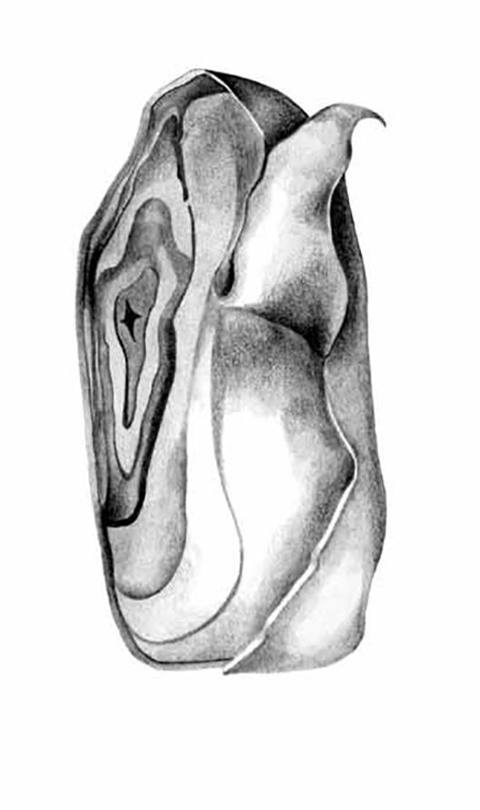 Эпоха провода и струны - dqipe80rv304.jpeg