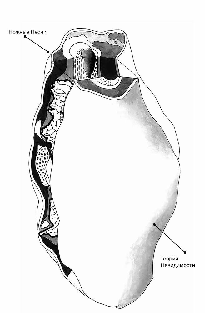 Эпоха провода и струны - dqipe80rv32h.jpeg