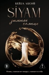 Зимнее солнце - Аксой Бейза