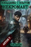 Читать книгу Некромант. Том пятый (СИ), автор Т. Антон Некромант. Том пятый (СИ) - Т. Антон
