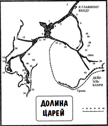 Увидеть огромную кошку - img_2