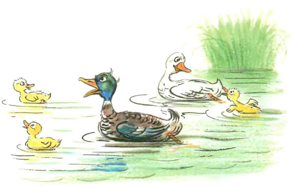 Чем помочь медведю? (рис. Сутеева) - i_004.jpg