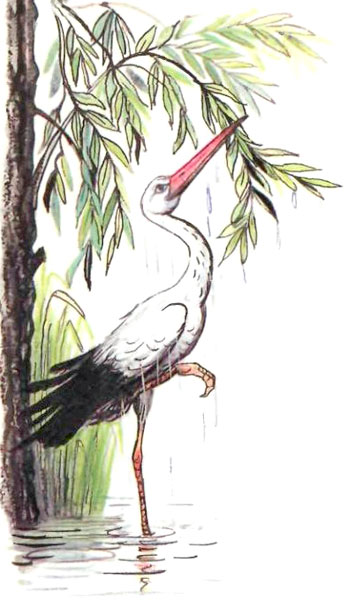 Чем помочь медведю? (рис. Сутеева) - i_005.jpg