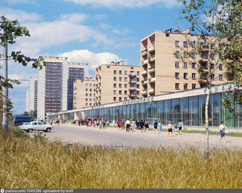 Назад в СССР: Классный руководитель (СИ) - img_10