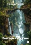 Разборки в жизни - Черевков Александр Сергеевич