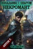 Читать книгу Некромант. Том шестой (СИ), автор Т. Антон Некромант. Том шестой (СИ) - Т. Антон