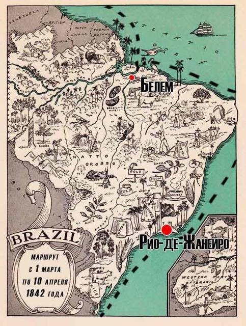 Парагвайский вариант. Часть 2 (СИ) - img_9