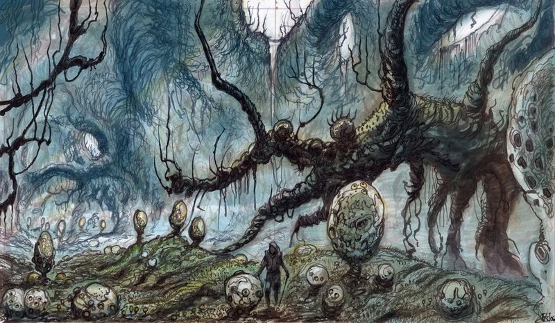 Эльф из Скайрима (СИ) - image272.jpeg