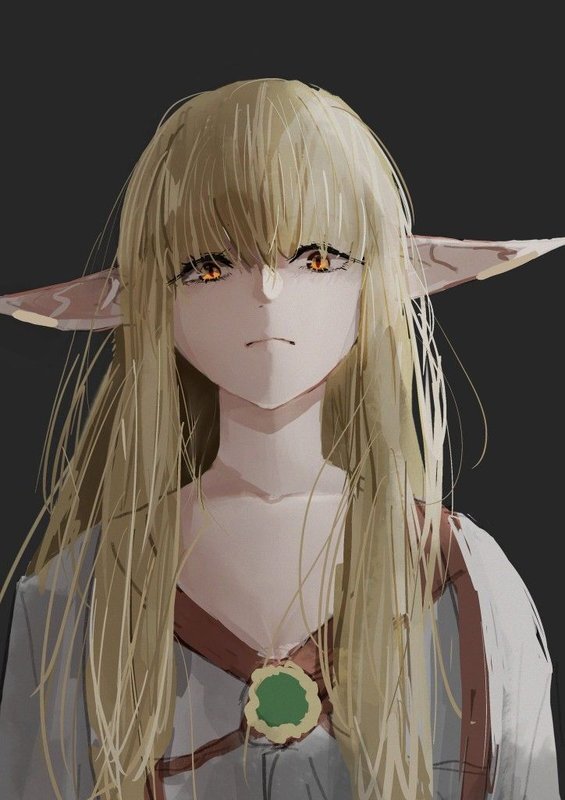 Дракон из Каэр Морхена (СИ) - image105.jpeg