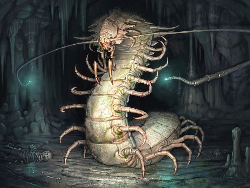 Дракон из Каэр Морхена (СИ) - image41.jpeg