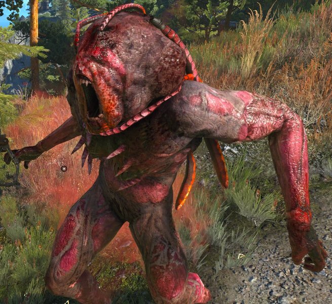 Дракон из Каэр Морхена (СИ) - image84.jpeg