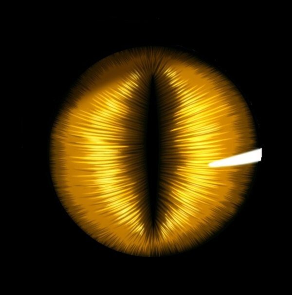 Дракон из Каэр Морхена (СИ) - image346.jpeg