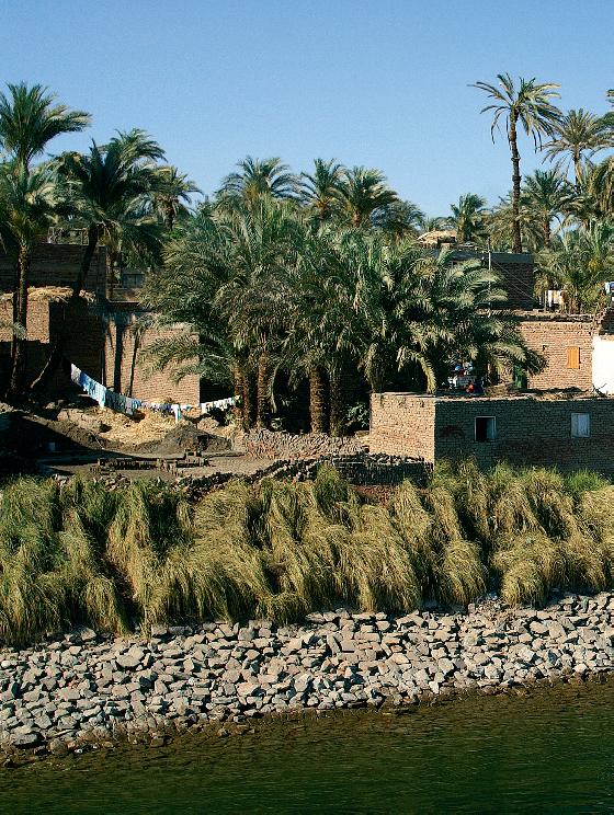 Цифровая фотография в простых примерах - _149.jpg