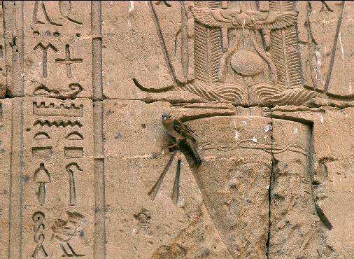 Цифровая фотография в простых примерах - _182.jpg