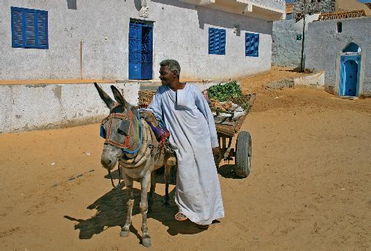Цифровая фотография в простых примерах - _192.jpg