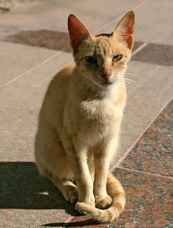 Цифровая фотография в простых примерах - _195.jpg