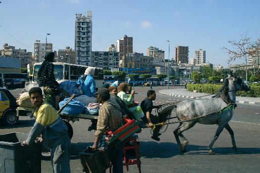 Цифровая фотография в простых примерах - _211.jpg