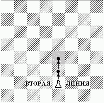 Шахматы для самых маленьких - i_134.png