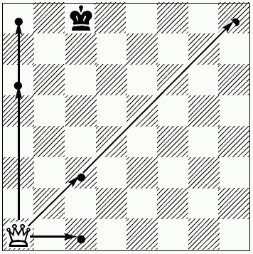 Шахматы для самых маленьких - i_289.png