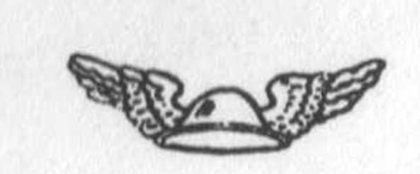 Русский любовник - img_2