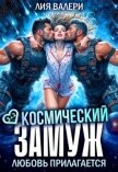 Космический замуж. Любовь прилагается (СИ) - Валери Лия