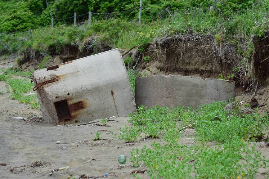 Харза из рода куниц (СИ) - img_7