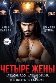 Четыре жены моего мужа. Выжить в гареме (СИ) - Кальби Иман