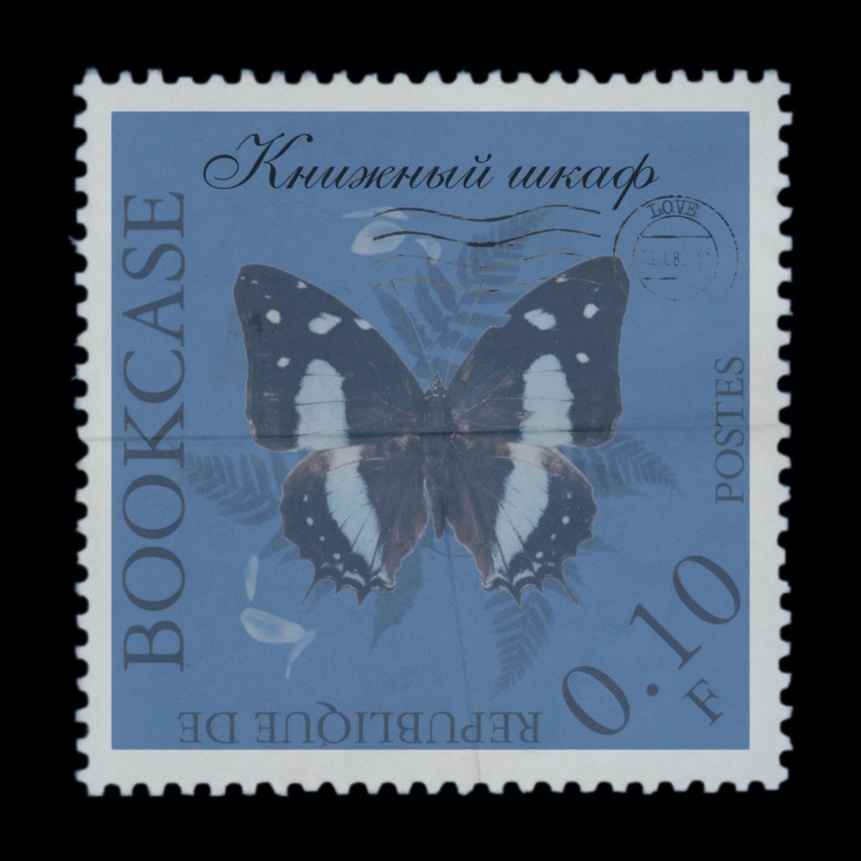 Наше темное лето (ЛП) - img_1