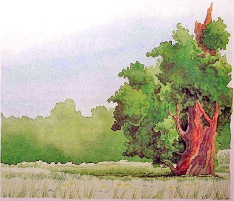 Меч Чародея (иллюстр. М. Мисуно) - i_009.jpg