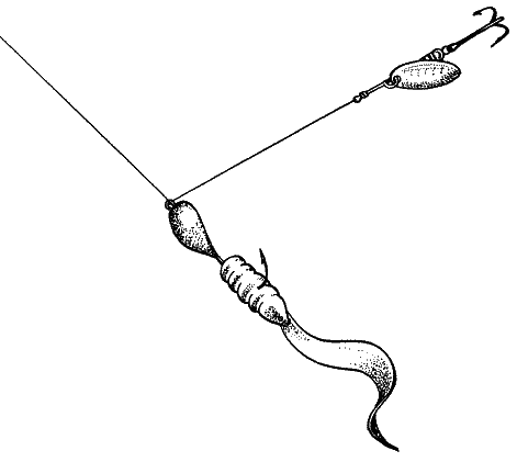 Большая книга рыболова–любителя (с цветной вкладкой) - _016.png