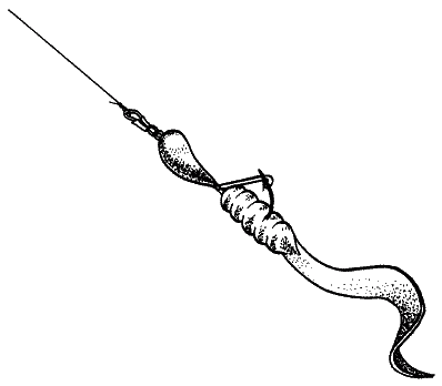 Большая книга рыболова–любителя (с цветной вкладкой) - _017.png